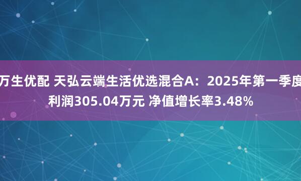 万生优配 天弘云端生活优选混合A：2025年第一季度利润305.04万元 净值增长率3.48%