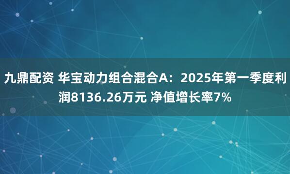 九鼎配资 华宝动力组合混合A：2025年第一季度利润8136.26万元 净值增长率7%