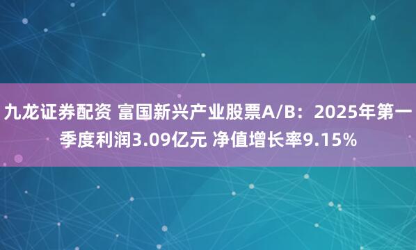 九龙证券配资 富国新兴产业股票A/B:2025年第一季度利润3.09亿元 净值增长率9.15%