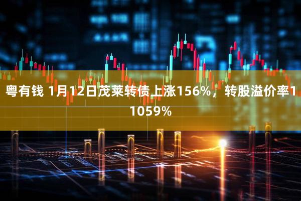 粤有钱 1月12日茂莱转债上涨156%，转股溢价率11059%